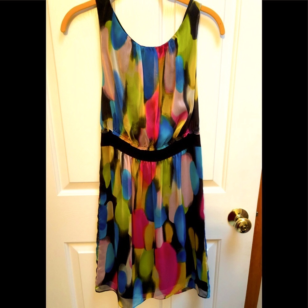 The Limited Sleeveless multi color dress
